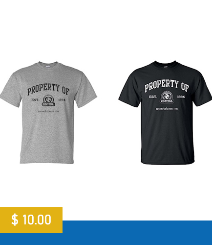 > property of t-shirt